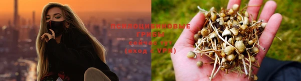 ECSTASY Зеленокумск